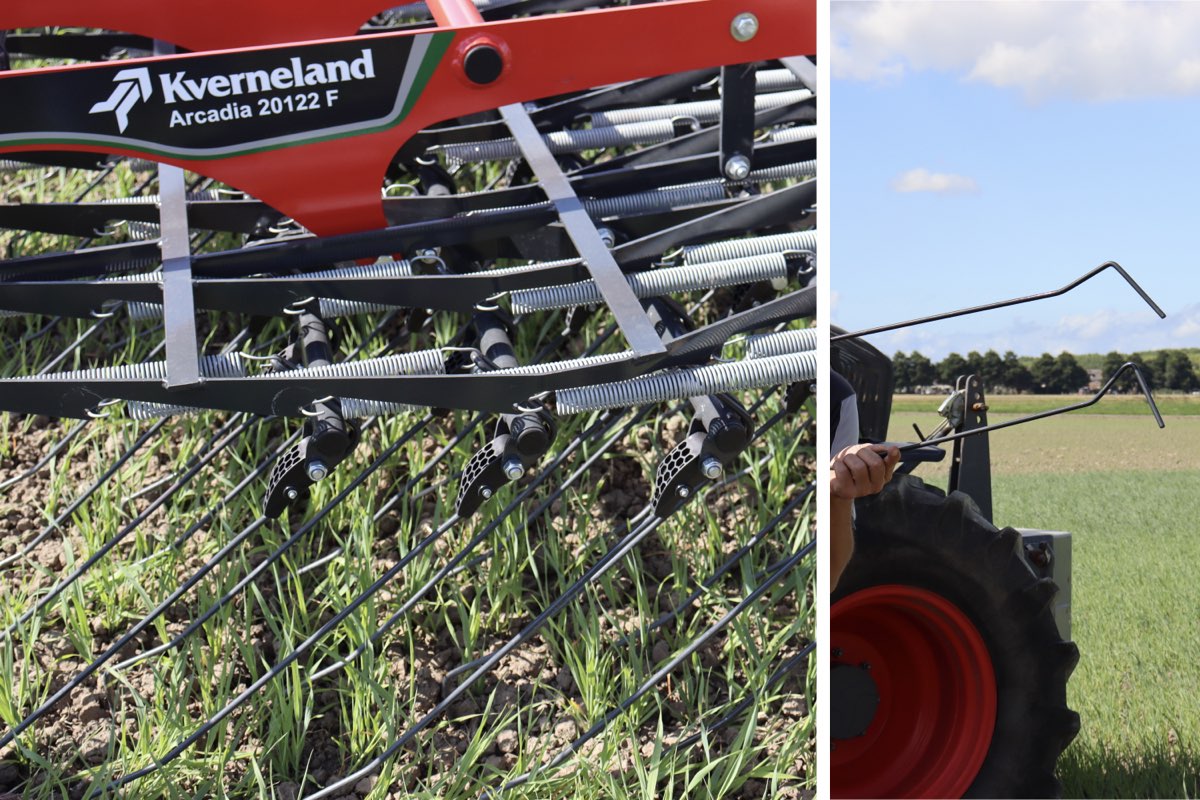 A sinistra dettaglio delle molle a spirale indipendenti per ciascun dente, a destra dettaglio dei denti passivi e attivi